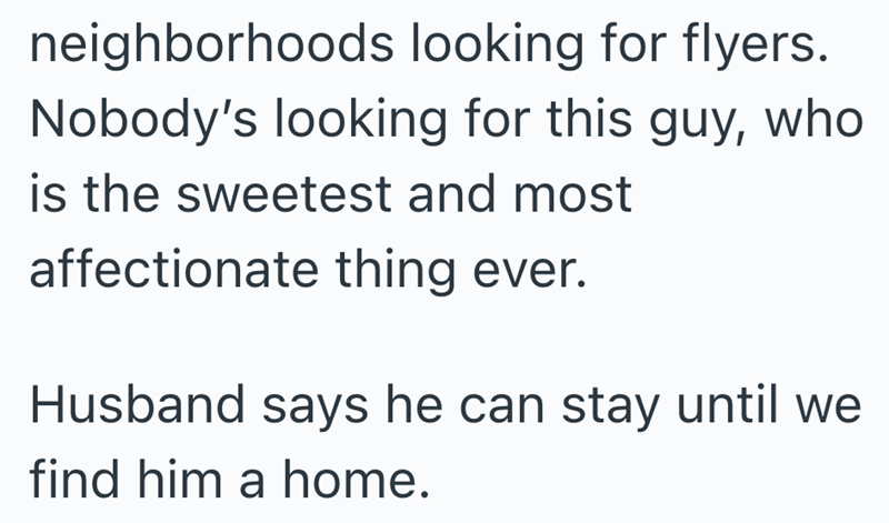 neighborhoods looking for flyers. Nobody's looking for this guy, who is the sweetest and most affectionate thing ever. Husband says he can stay until we find him a home.