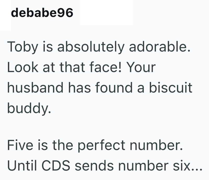 debabe96 Toby is absolutely adorable. Look at that face! Your husband has found a biscuit buddy. Five is the perfect number. Until CDS sends number six...