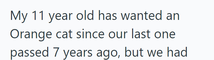 My 11 year old has wanted an Orange cat since our last one passed 7 years ago, but we had