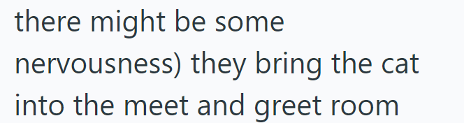 there might be some nervousness) they bring the cat into the meet and greet room