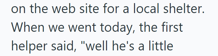 on the web site for a local shelter. When we went today, the first helper said, "well he's a little