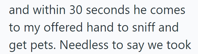 and within 30 seconds he comes to my offered hand to sniff and get pets. Needless to say we took