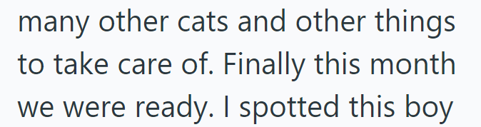 many other cats and other things to take care of. Finally this month we were ready. I spotted this boy