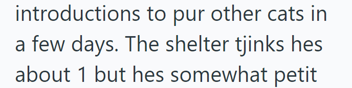 introductions to pur other cats in a few days. The shelter tjinks hes about 1 but hes somewhat petit