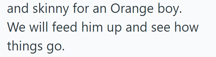 and skinny for an Orange boy. We will feed him up and see how things go.