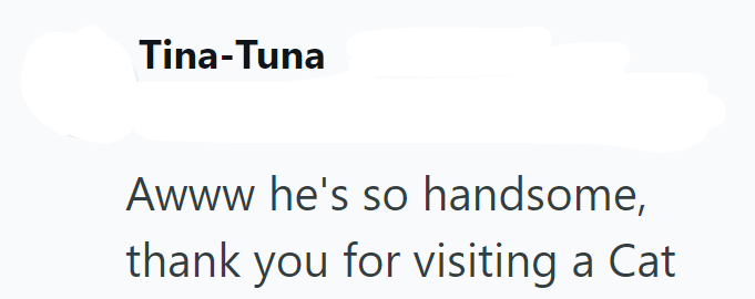 Tina-Tuna Awww he's so handsome, thank you for visiting a Cat