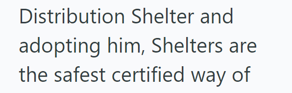 Distribution Shelter and adopting him, Shelters are the safest certified way of