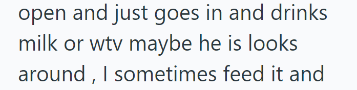 open and just goes in and drinks milk or wtv maybe he is looks. around, I sometimes feed it and
