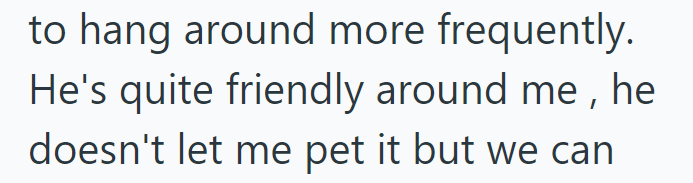 to hang around more frequently. He's quite friendly around me, he doesn't let me pet it but we can