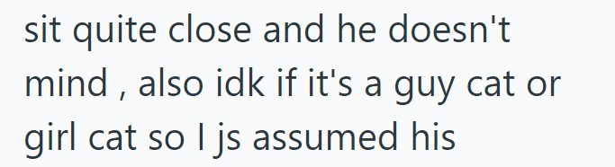sit quite close and he doesn't mind, also idk if it's a guy cat or girl cat so I js assumed his