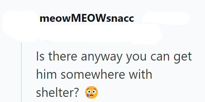 meowMEOWsnacc Is there anyway you can get him somewhere with shelter?