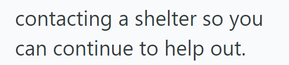 contacting a shelter so you can continue to help out.