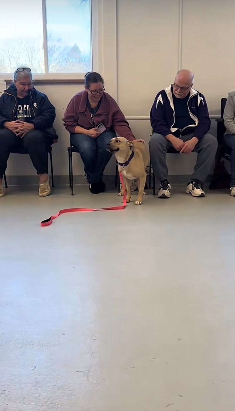 Cheezburger Image 10615419904