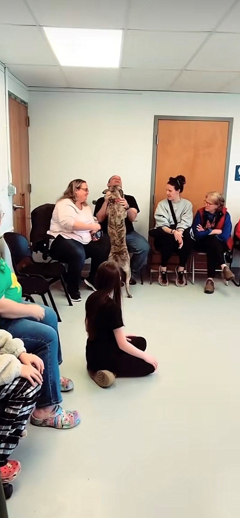 Cheezburger Image 10615421184