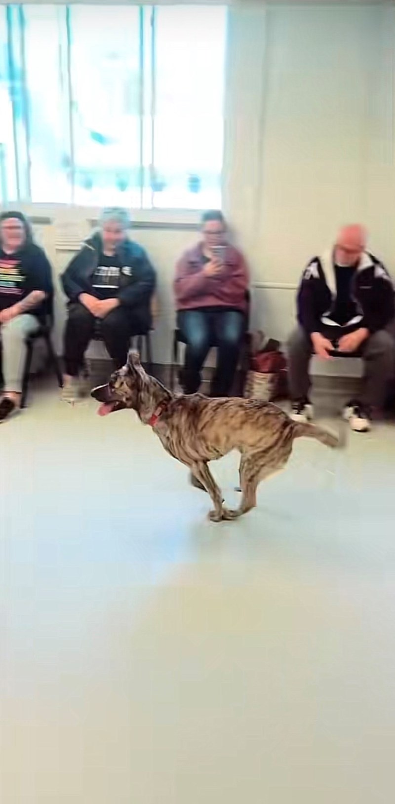 Cheezburger Image 10615421696