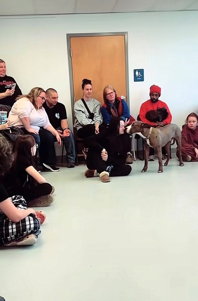 Cheezburger Image 10615422208