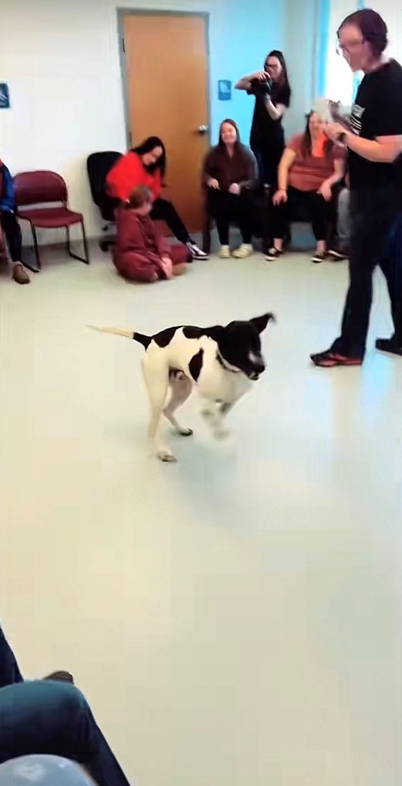 Cheezburger Image 10615422976