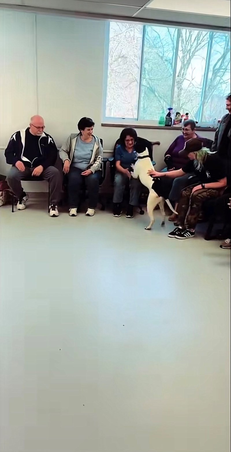 Cheezburger Image 10615423232