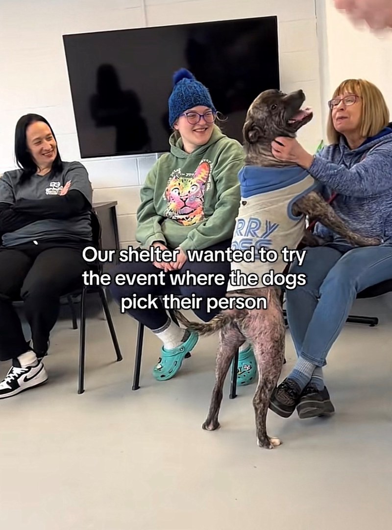 RRY Our shelter wanted to try the event where the dogs pick their person