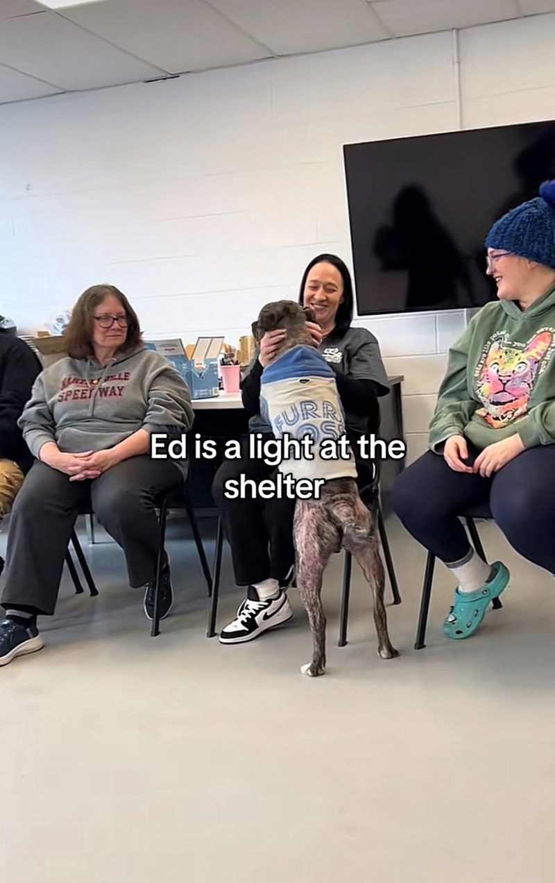 MATKY JILLE SPEET WAY FURR Ed is a light at the shelter