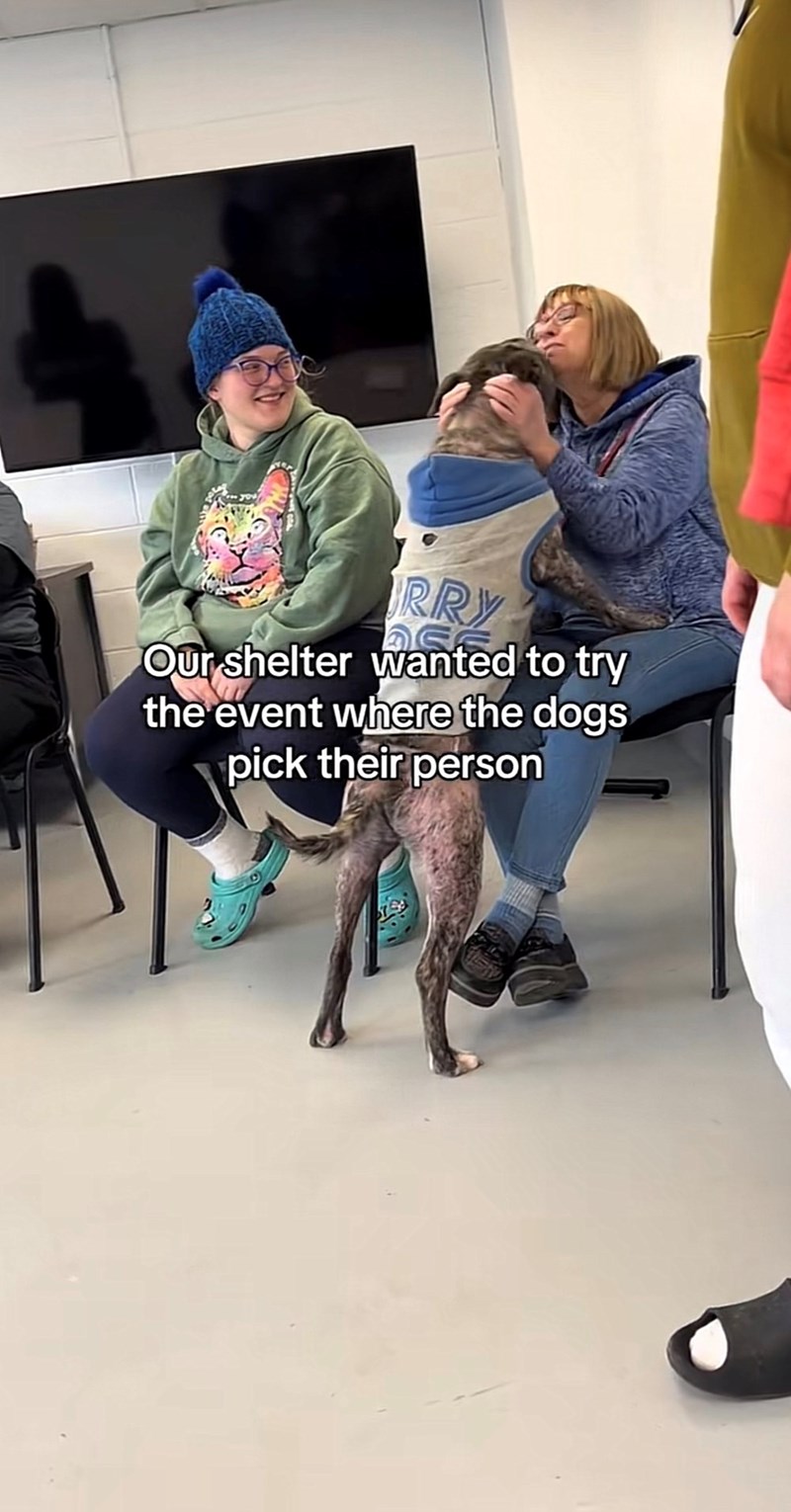 RRY Our shelter wanted to try the event where the dogs pick their person 759