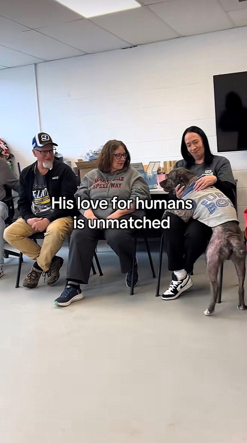 9 EZIO MOOT RACELE SPEET WAY His love for humans is unmatched