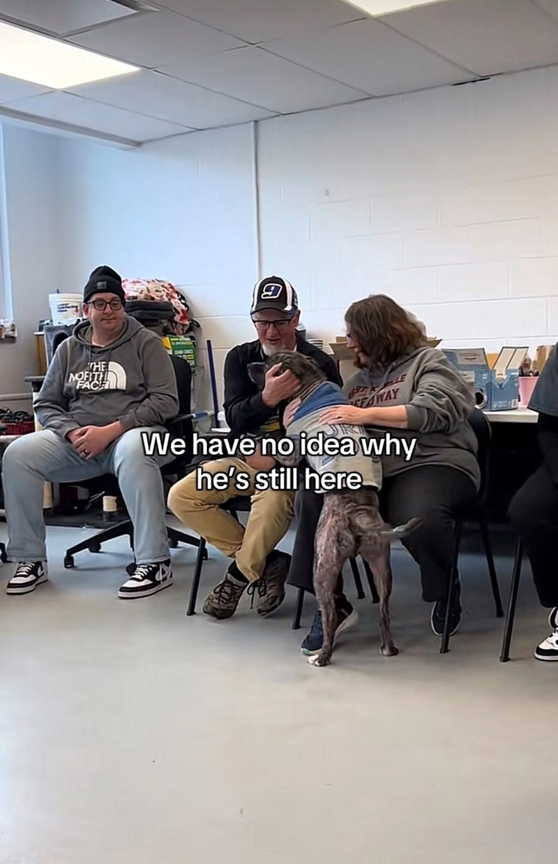 THE MOFITH FACE G EFAWAY We have no idea why he's still here