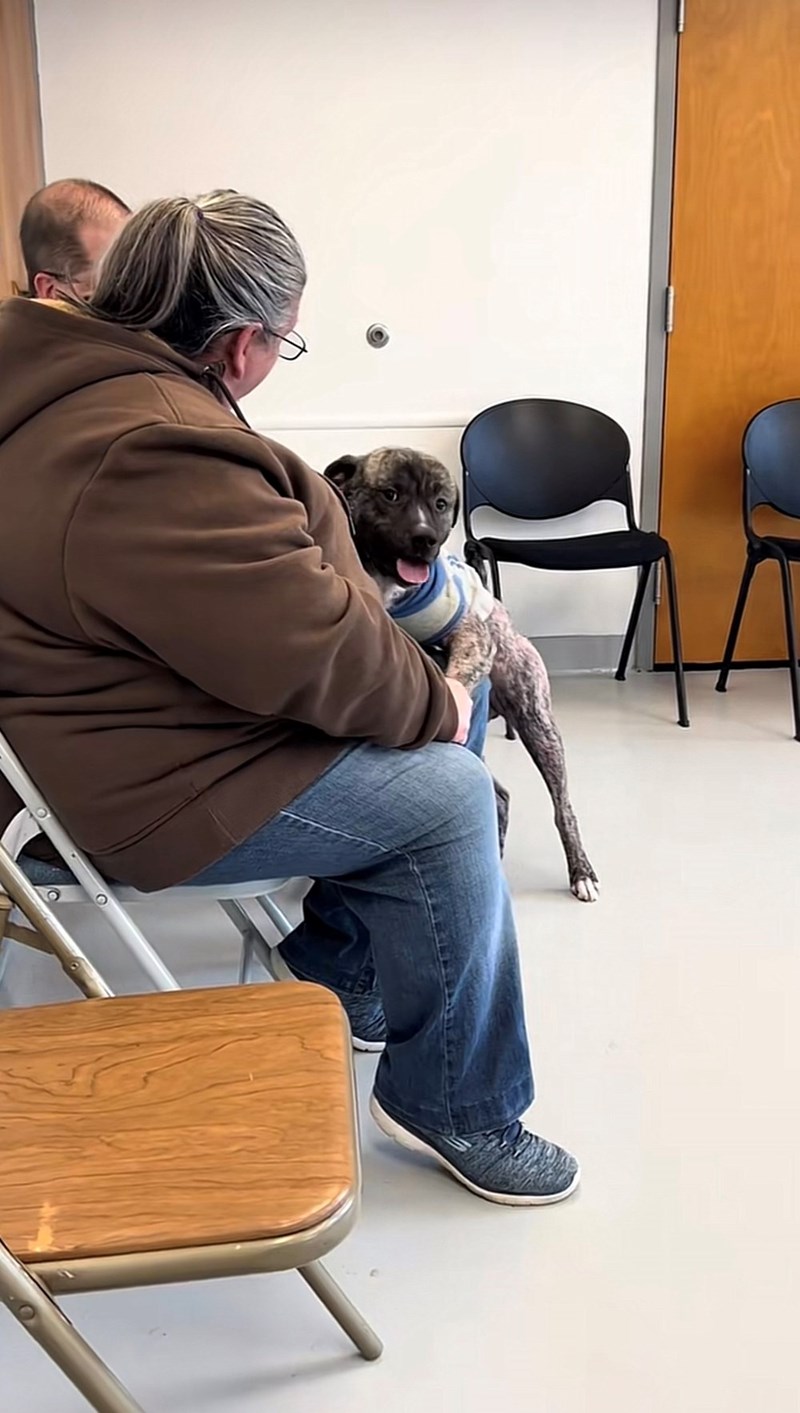 Cheezburger Image 10615425024