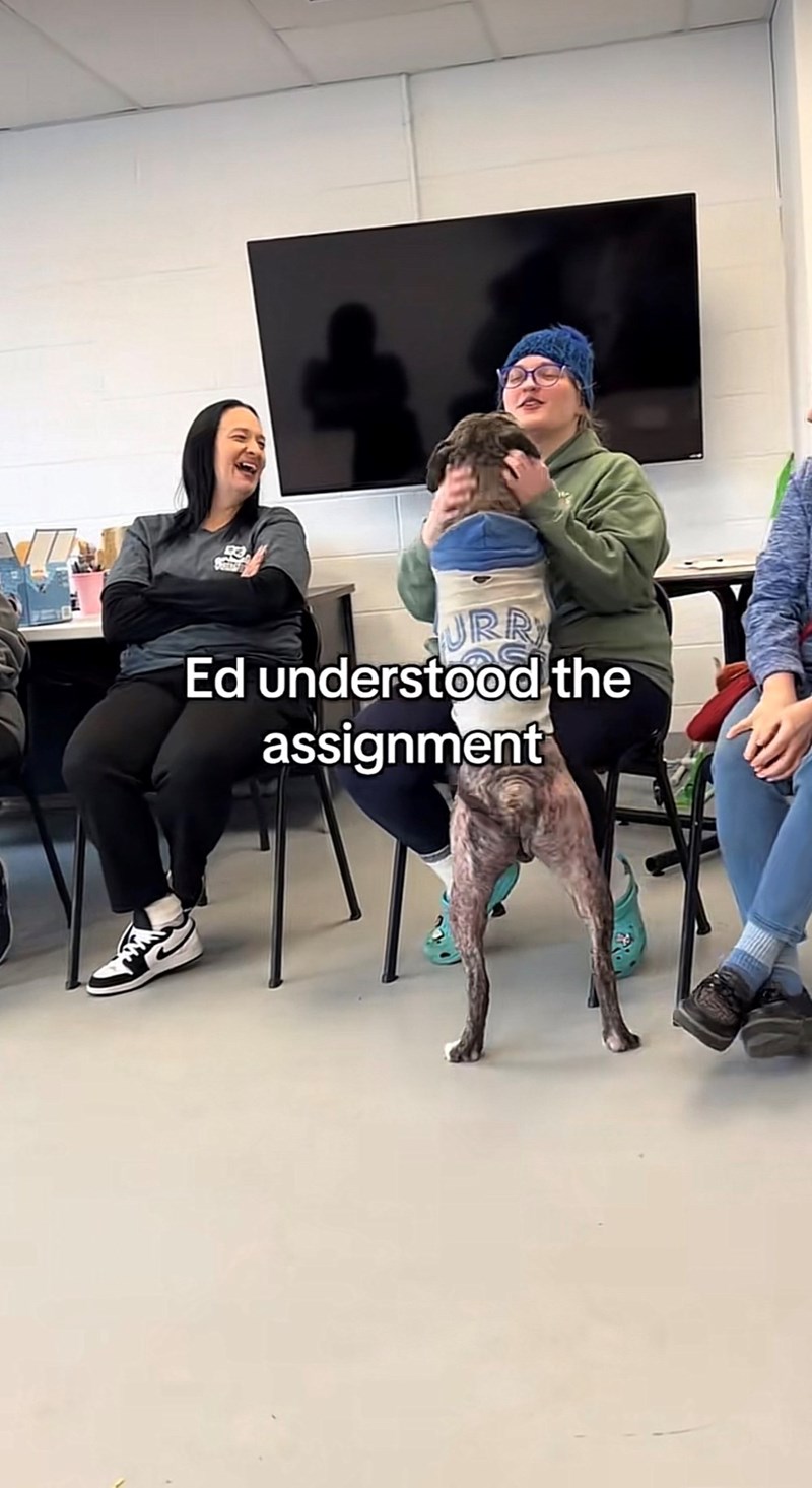 URR Ed understood the assignment