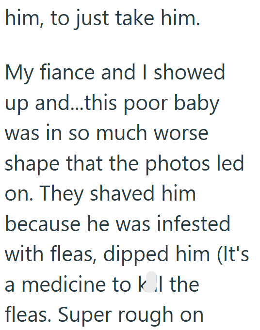 him, to just take him. My fiance and I showed up and...this poor baby was in so much worse shape that the photos led on. They shaved him because he was infested with fleas, dipped him (It's a medicine to k .l the fleas. Super rough on