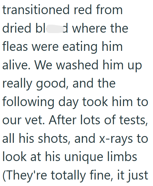 transitioned red from dried blod where the fleas were eating him alive. We washed him up really good, and the following day took him to our vet. After lots of tests, all his shots, and x-rays to look at his unique limbs (They're totally fine, it just