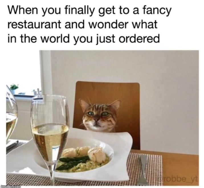 When you finally get to a fancy restaurant and wonder what in the world you just ordered imaflip.com robbe_yt