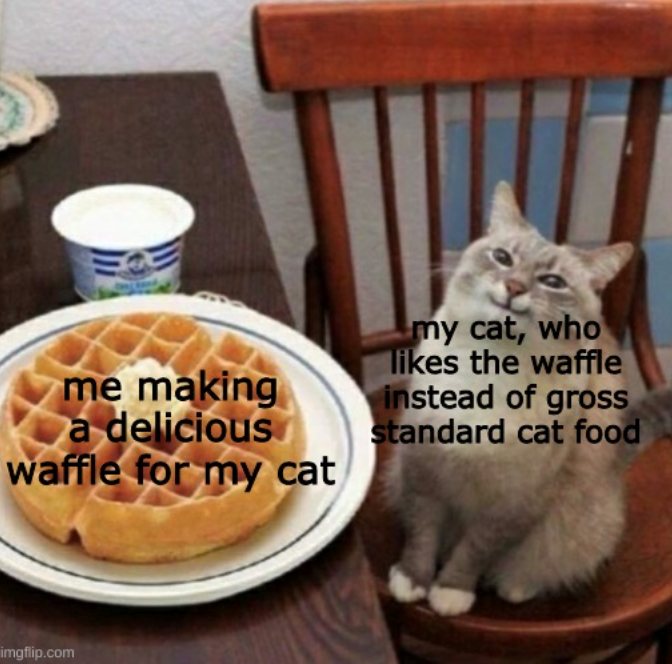 me making a delicious waffle for my cat my cat, who likes the waffle instead of gross standard cat food imgflip.com