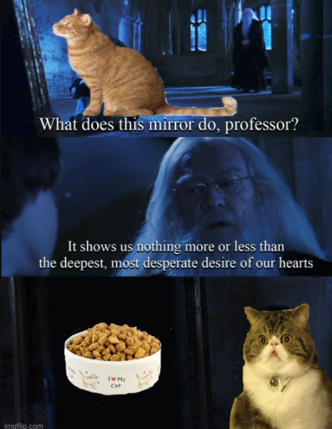imgflip.com What does this mirror do, professor? It shows us nothing more or less than the deepest, most desperate desire of our hearts I♥MY Cat