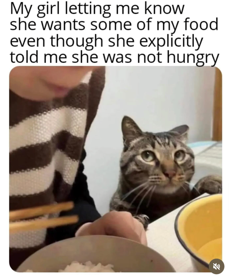 My girl letting me know she wants some of my food even though she explicitly told me she was not hungry 71