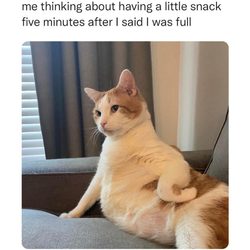 me thinking about having a little snack five minutes after I said I was full