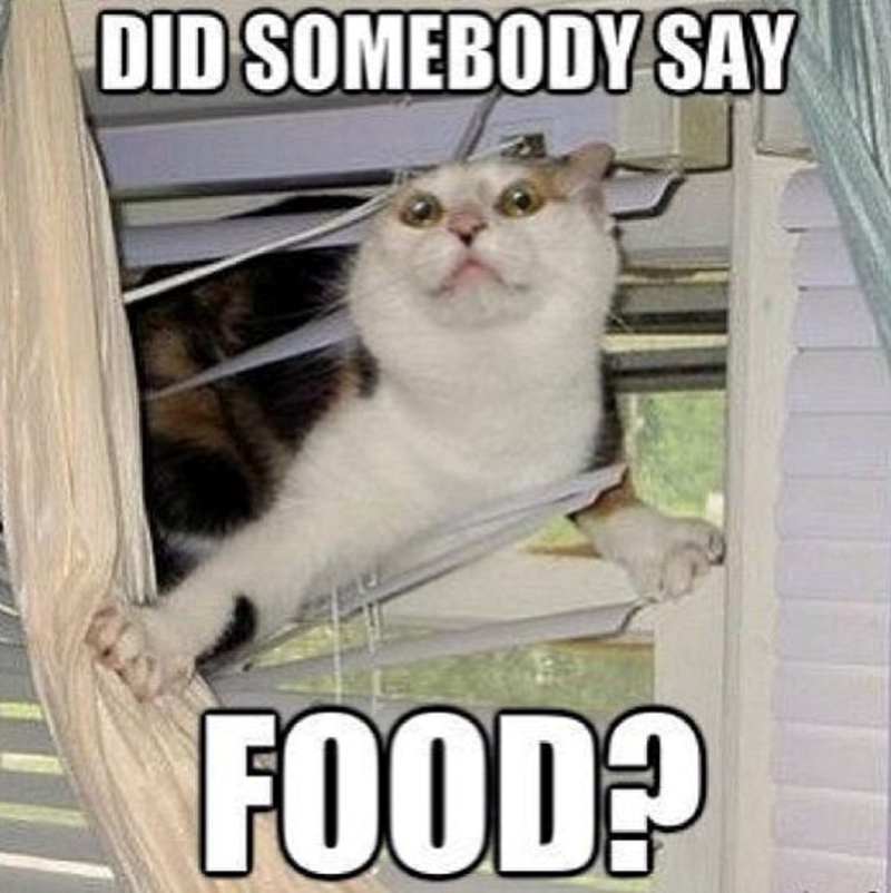 DID SOMEBODY SAY FOOD?