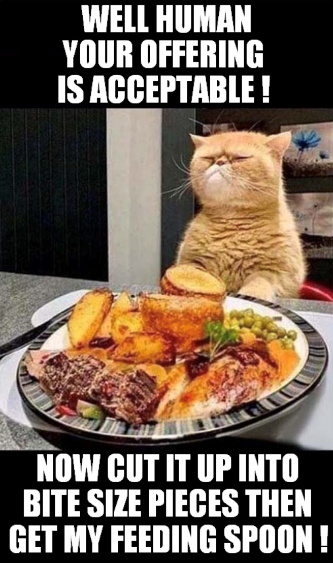 WELL HUMAN YOUR OFFERING IS ACCEPTABLE! NOW CUT IT UP INTO BITE SIZE PIECES THEN GET MY FEEDING SPOON !