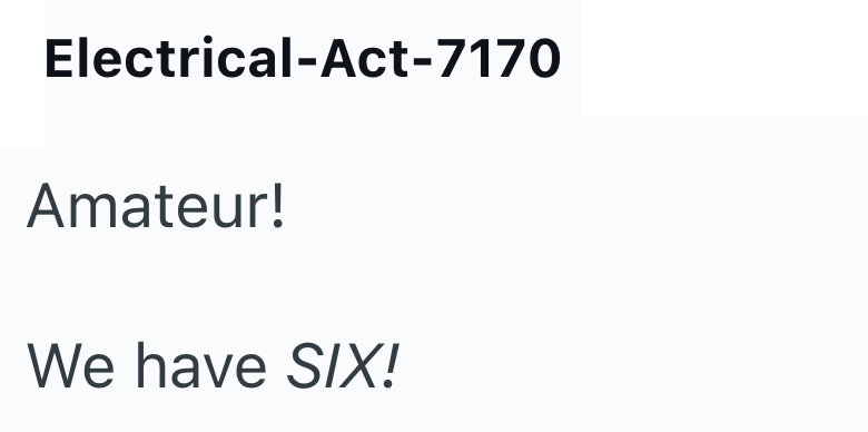 Electrical-Act-7170 Amateur! We have SIX!