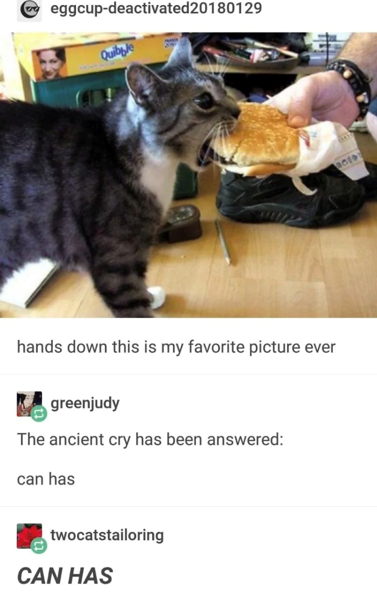 eggcup-deactivated20180129 Quibble hands down this is my favorite picture ever greenjudy The ancient cry has been answered: can has twocatstailoring CAN HAS