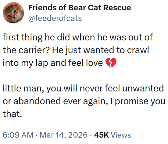Friends of Bear Cat Rescue @feederofcats first thing he did when he was out of the carrier? He just wanted to crawl into my lap and feel love ≫ little man, you will never feel unwanted or abandoned ever again, I promise you that. 6:09 AM Mar 14, 2026 45K Views