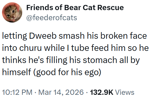 Friends of Bear Cat Rescue @feederofcats letting Dweeb smash his broken face into churu while I tube feed him so he thinks he's filling his stomach all by himself (good for his ego) 10:12 PM · Mar 14, 2026 132.9K Views