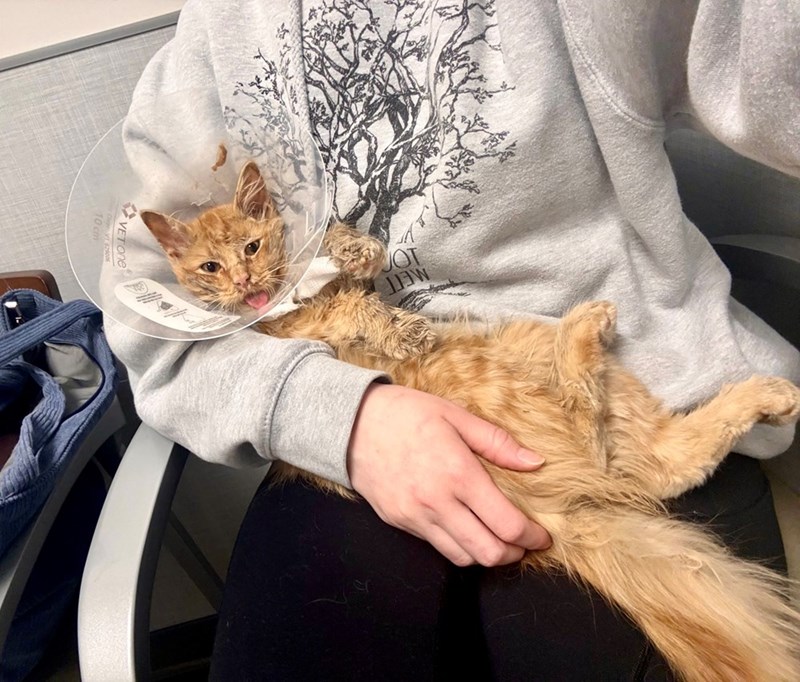 Cheezburger Image 10615446784