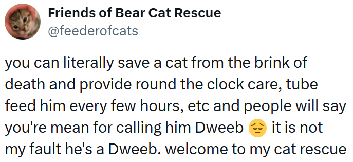 Friends of Bear Cat Rescue @feederofcats you can literally save a cat from the brink of death and provide round the clock care, tube feed him every few hours, etc and people will say you're mean for calling him Dweeb it is not my fault he's a Dweeb. welcome to my cat rescue