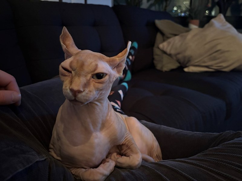 Cheezburger Image 10615449600