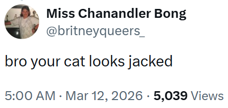 Miss Chanandler Bong @britneyqueers_ bro your cat looks jacked 5:00 AM - Mar 12, 2026 5,039 Views