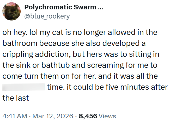 Polychromatic Swarm ... @blue_rookery oh hey. lol my cat is no longer allowed in the bathroom because she also developed a crippling addiction, but hers was to sitting in the sink or bathtub and screaming for me to come turn them on for her. and it was all the Itime. it could be five minutes after the last 4:41 AM · Mar 12, 2026 8,456 Views