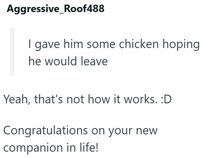 Aggressive Roof488 I gave him some chicken hoping he would leave Yeah, that's not how it works. :D Congratulations on your new companion in life!