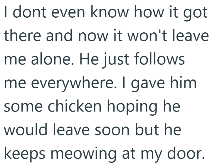 I dont even know how it got there and now it won't leave me alone. He just follows me everywhere. I gave him some chicken hoping he would leave soon but he keeps meowing at my door.