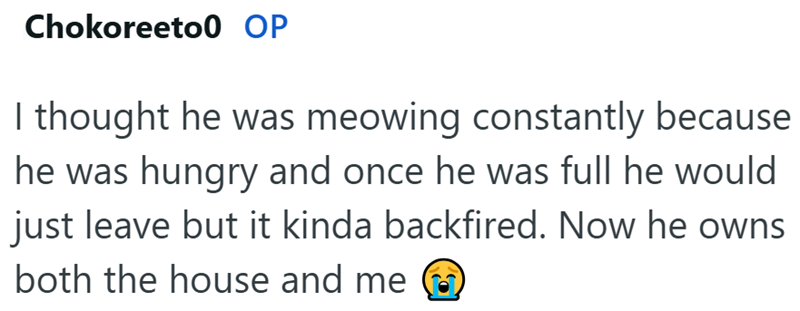 Chokoreeto0 OP I thought he was meowing constantly because he was hungry and once he was full he would just leave but it kinda backfired. Now he owns both the house and me